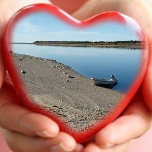 Meet your Posher, Fred